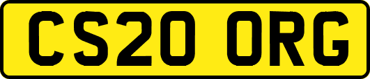 CS20ORG
