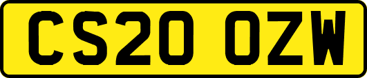 CS20OZW
