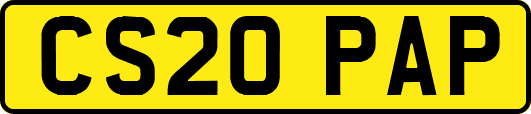 CS20PAP