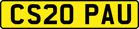 CS20PAU