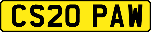 CS20PAW