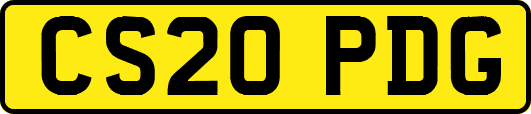 CS20PDG