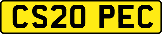 CS20PEC