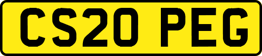 CS20PEG