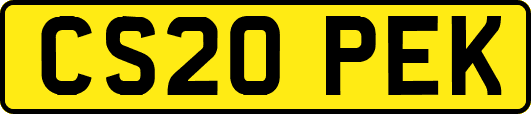 CS20PEK