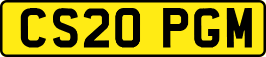 CS20PGM