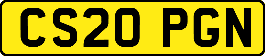 CS20PGN