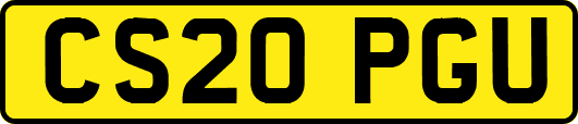 CS20PGU