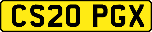 CS20PGX