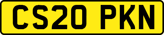 CS20PKN