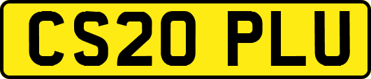 CS20PLU
