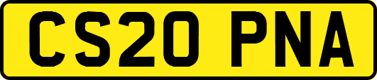 CS20PNA