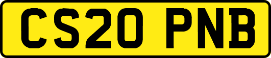CS20PNB