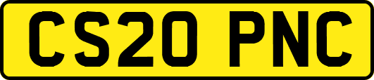 CS20PNC