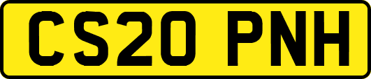 CS20PNH