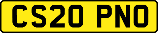 CS20PNO