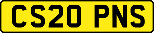 CS20PNS