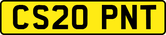 CS20PNT