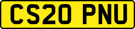 CS20PNU