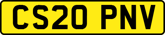 CS20PNV