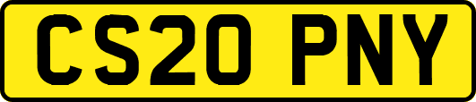CS20PNY