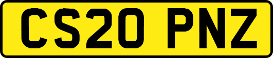 CS20PNZ