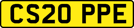 CS20PPE