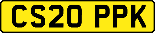 CS20PPK