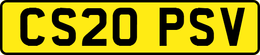 CS20PSV