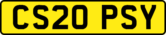 CS20PSY