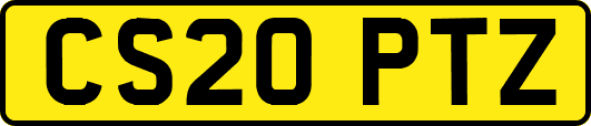 CS20PTZ