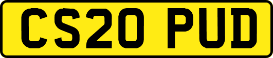 CS20PUD