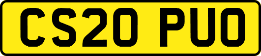 CS20PUO
