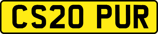CS20PUR