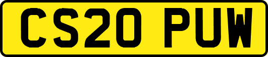 CS20PUW