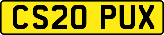 CS20PUX