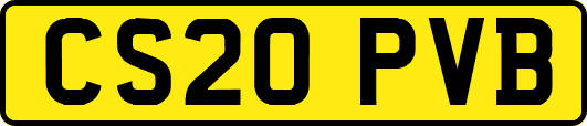 CS20PVB