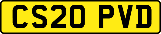 CS20PVD