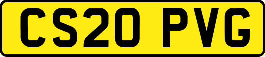 CS20PVG