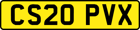 CS20PVX