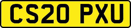 CS20PXU