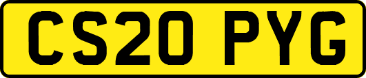 CS20PYG