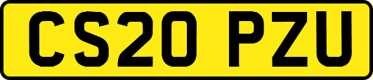 CS20PZU