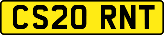 CS20RNT