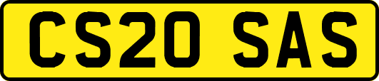 CS20SAS