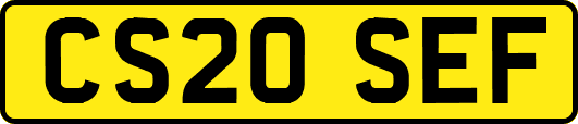 CS20SEF