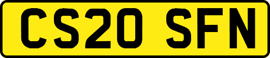 CS20SFN