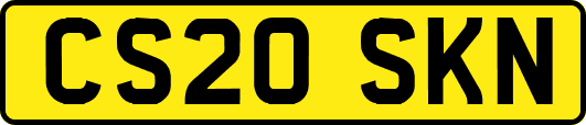 CS20SKN