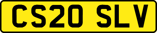 CS20SLV