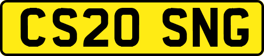 CS20SNG